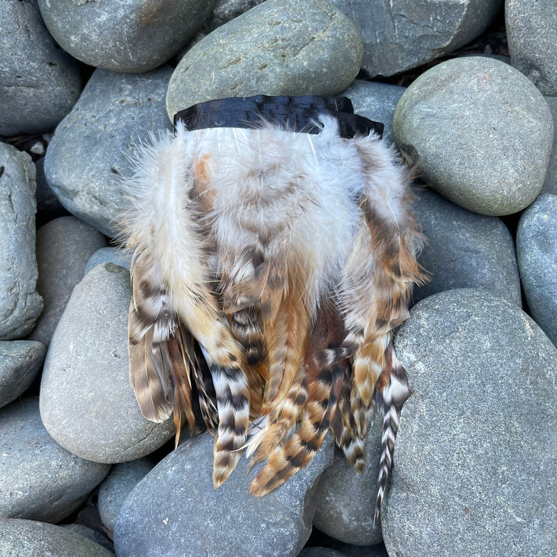 Chinchilla Brown Beige Coque Feathers