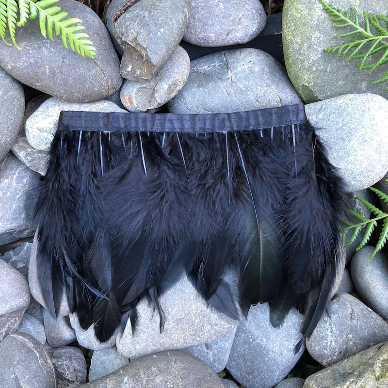 Black Coque Feathers